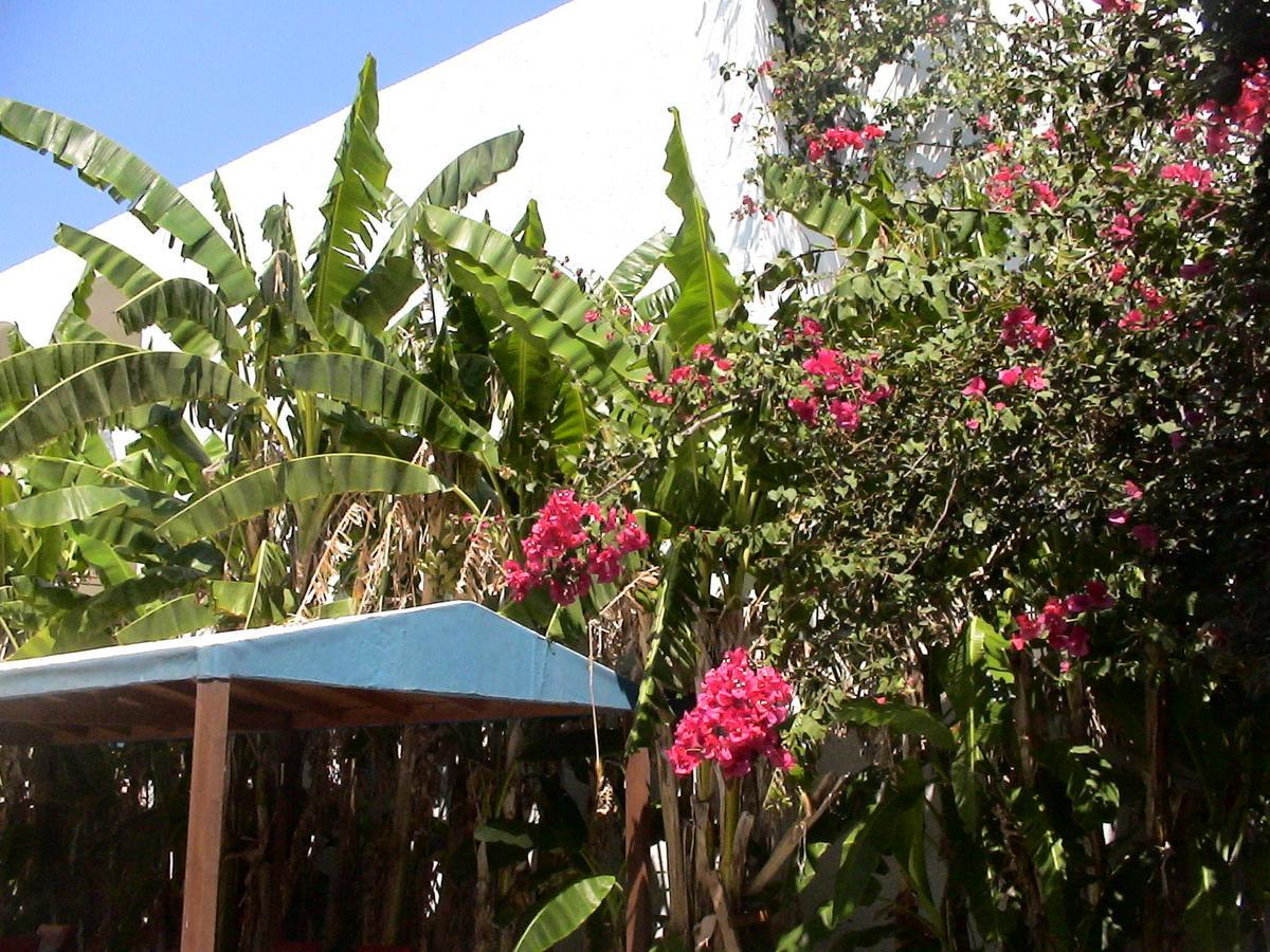 Sea Breeze Hotel Mastichari  Extérieur photo